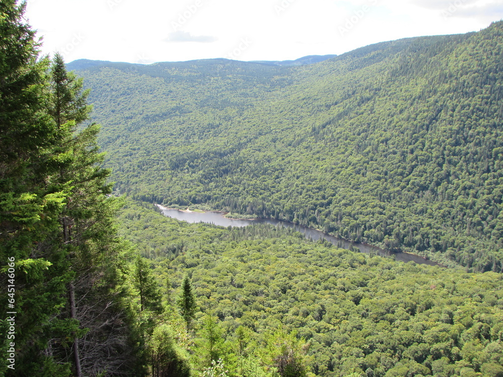 Rivière au fond du canyon. Rivière au fond du canyon.