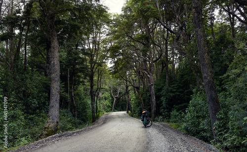 Carretera austral
