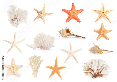 Set with sea stars, shells and corals isolated on white