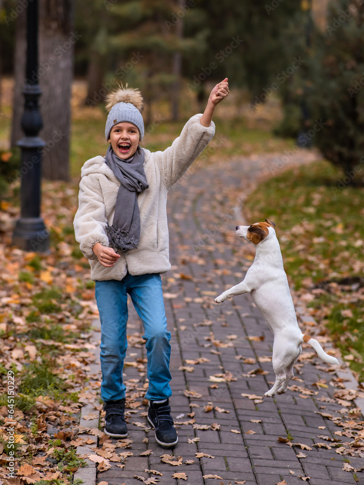 Fototapeta premium Caucasian girl playing with a dog for a walk in the autumn park. 