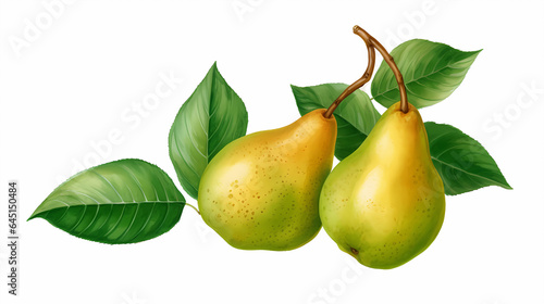 hand drawn cartoon fresh pear illustration
