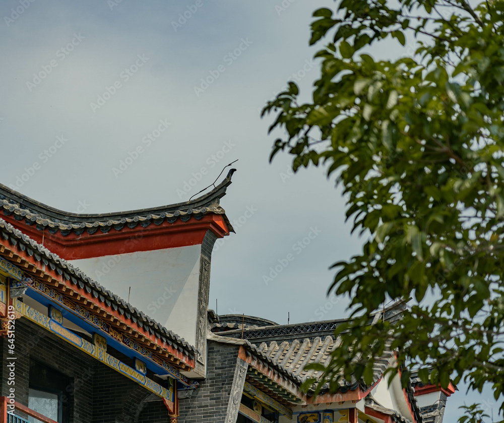 Details of traditional chinese building