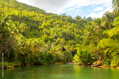 A small hut on tropical river with palm trees on both shores  Loboc