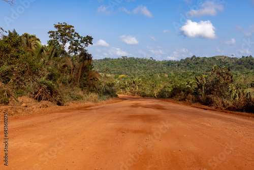 Driving on the famous earth road Transamazonica towards Santar  m through the Amazon rainforest in dry season in northern Brazil  South America