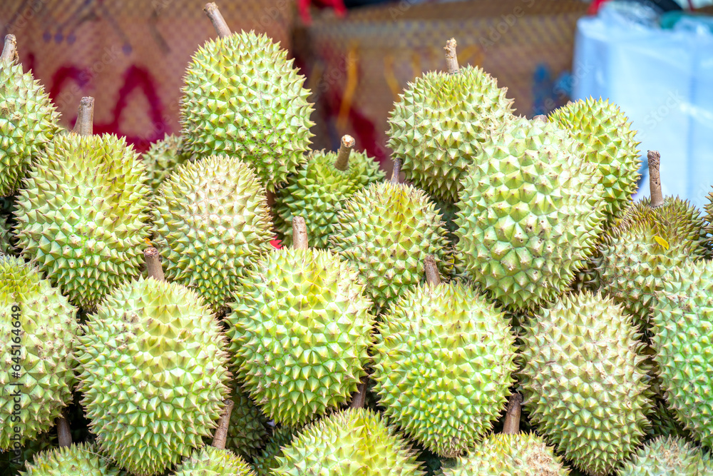 Durians fruit for sale at the market, Vietnam fruit, specialty from Cai Lay region, Tien Giang Durians fruit for sale at the market, Vietnam fruit, specialty from Cai Lay region, Tien Giang