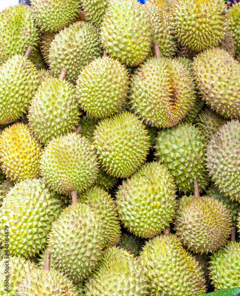 Durians fruit for sale at the market, Vietnam fruit, specialty from Cai Lay region, Tien Giang Durians fruit for sale at the market, Vietnam fruit, specialty from Cai Lay region, Tien Giang