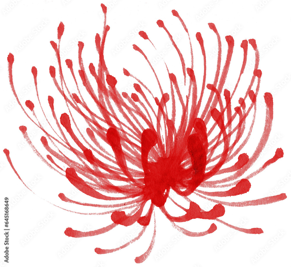 spider lily painting spider lily painting