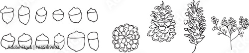 線画。秋の植物のベクターイラスト。秋の葉っぱと木の実イラスト。季節のカードデザイン。Line drawing. Autumn plants vector illustration. Autumn leaves and nuts illustration. Seasonal card design.