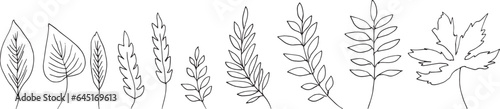 線画。秋の植物のベクターイラスト。秋の葉っぱと木の実イラスト。季節のカードデザイン。Line drawing. Autumn plants vector illustration. Autumn leaves and nuts illustration. Seasonal card design.