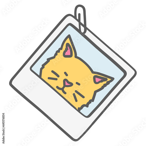 polaroid cat photo decoration