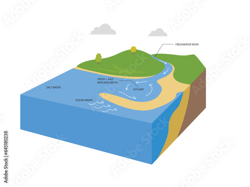 Estuaries water body structure with salt and freshwater outline diagram. river stream flow to ocean and mixing water formation