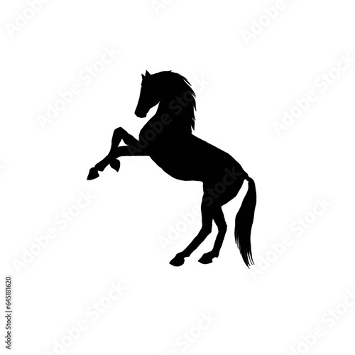 Horse silhouette. Black and white horse ilustration.