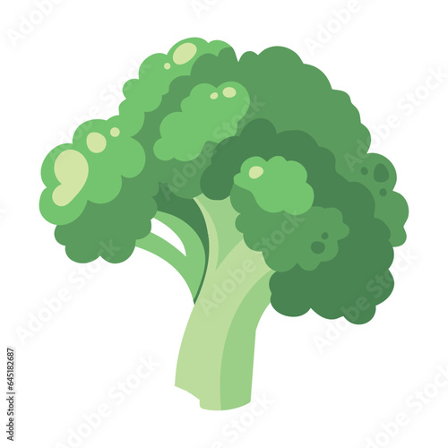 broccoli fresh vegetable icon