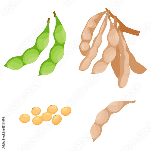 Set of Soy beans isolated on a white background. vector illustration.