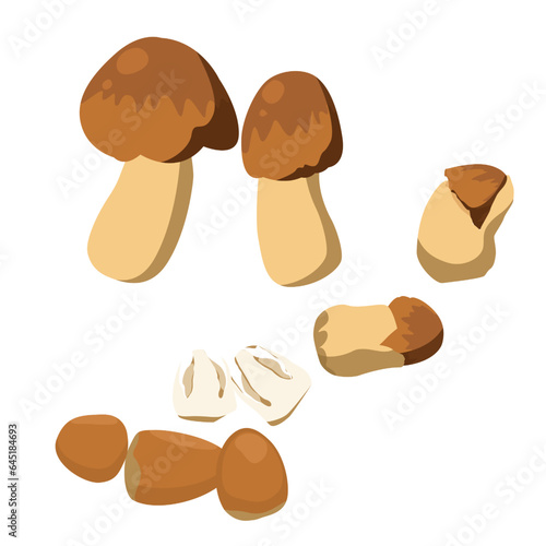 Set of straw mushrooms isolated on a white background. vector illustration.
