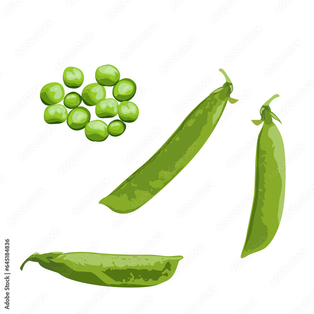 Set of Green peas isolated on a white background. vector illustration. Set of Green peas isolated on a white background. vector illustration.