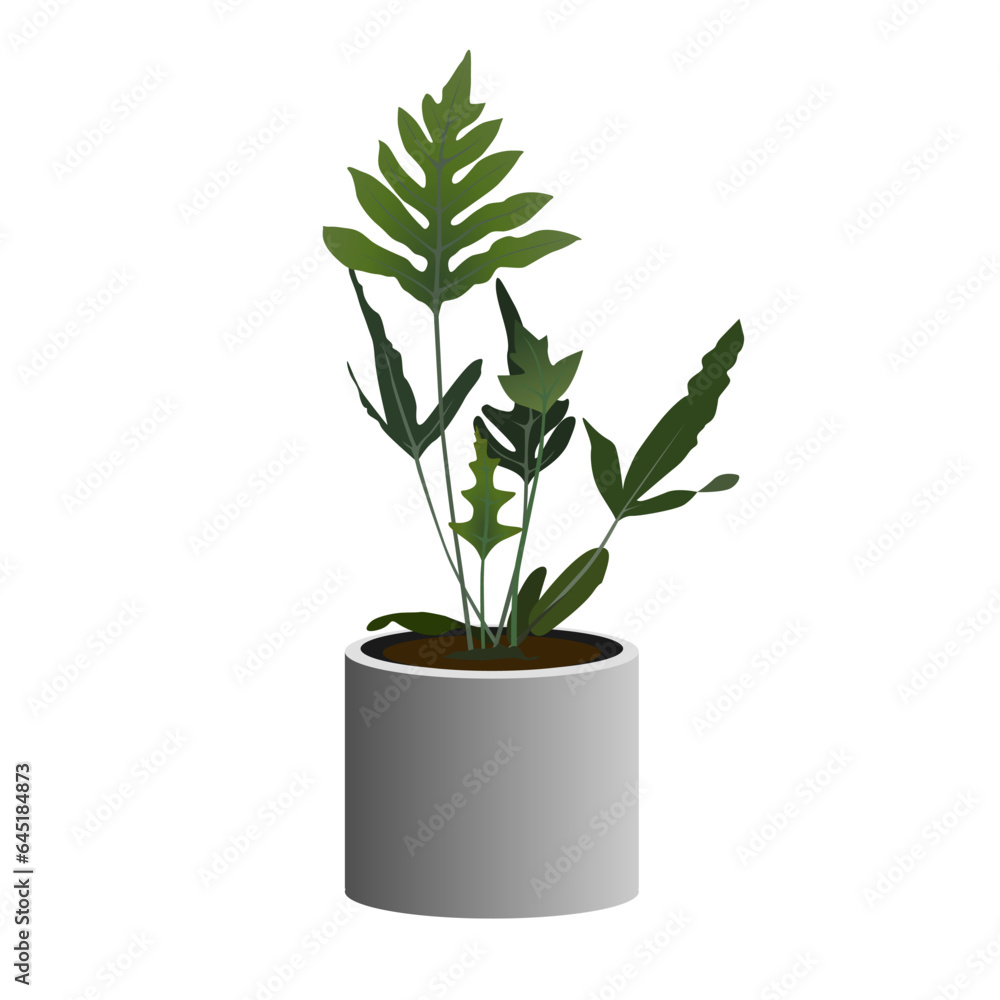 Pot plant of Phlebodium aureum isolated on white background, vector illustration.
