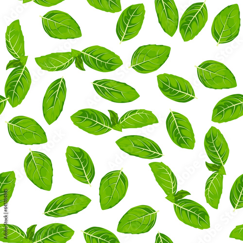 A seamless pattern of Basil leaves. vector illustration.