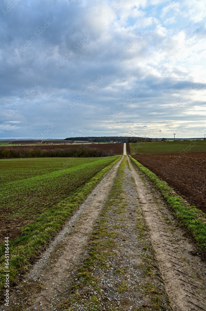 Langgestreckter Feldweg führt geradeaus auf einem Hügel, vorbei an winterlichen Feldern bei Schweinfurt, Franken, Bayern, Deutschland Langgestreckter Feldweg führt geradeaus auf einem Hügel, vorbei an winterlichen Feldern bei Schweinfurt, Franken, Bayern, Deutschland