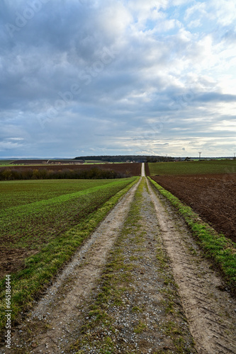 Langgestreckter Feldweg führt geradeaus auf einem Hügel, vorbei an winterlichen Feldern bei Schweinfurt, Franken, Bayern, Deutschland 