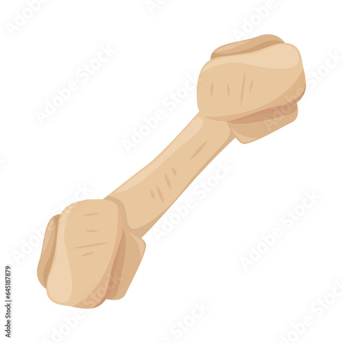 pet rubber toy bone