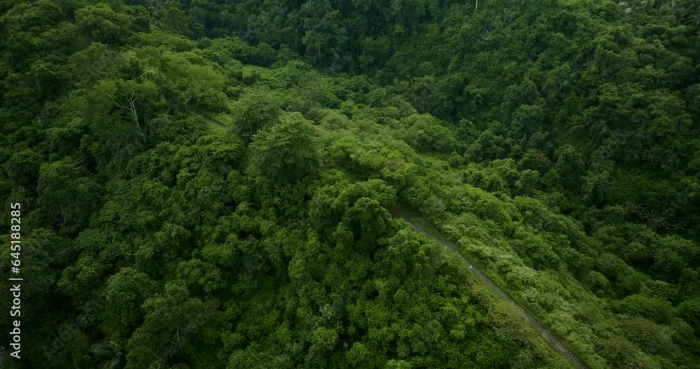 Drone view of Bali. Artist way in Ubud, Bali. Campuhan Ridge Walk Ubud Drone view of Bali. Artist way in Ubud, Bali. Campuhan Ridge Walk Ubud
