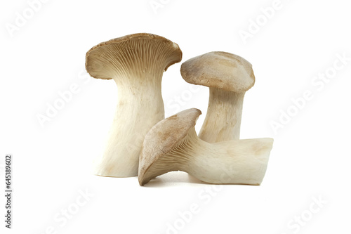 King oyster mushroom over white background