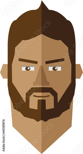 Digital png illustration of head of caucasian man with brow hair and beard on transparent background