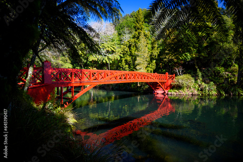 Poet's bridge in New Plymouth photo