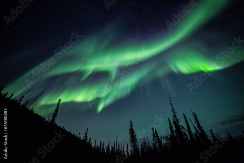 The northern lights or aurora borealis over the boreal forest and mountains of the central Brooks Range, Alaska, USA.
