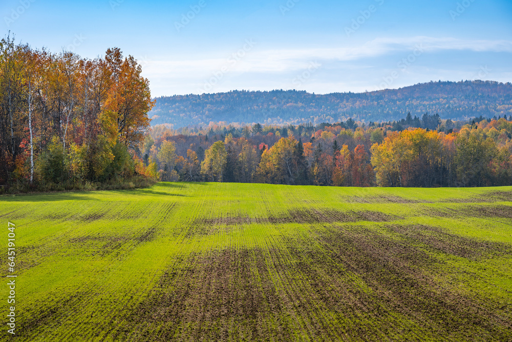 Fototapeta premium autumn in the mountains