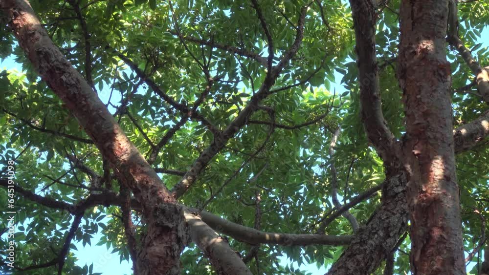 Ante la naturaleza Ante la naturaleza
