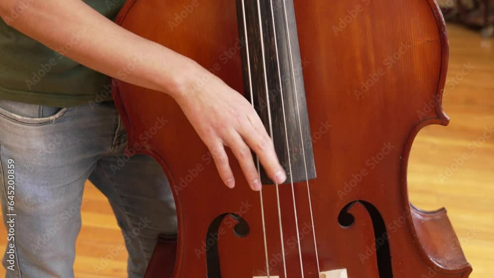 A man playing the double bass with his fingers in pizzicato A man playing the double bass with his fingers in pizzicato
