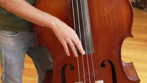 A man playing the double bass with his fingers in pizzicato photo