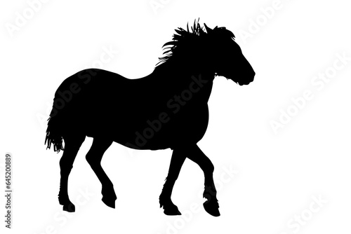 Horse silhouette isolated on white background. Running horse black silhouette. Wild stallion shape. Stock vector illustration