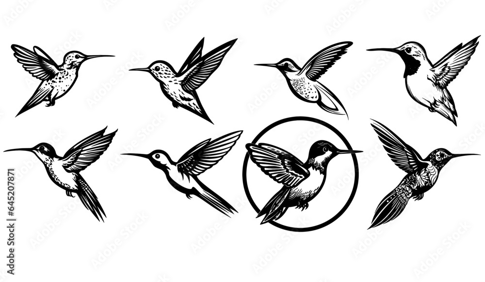Obraz premium Collection of hummingbird vector logos and icons