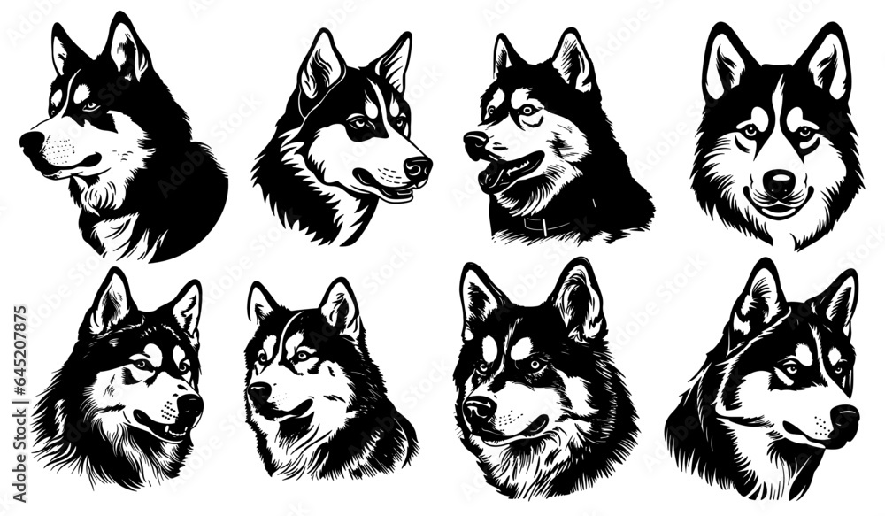 Vector husky dog heads set Vector husky dog heads set