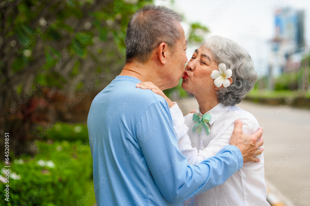 Elderly love, couple relaxing outdoors in blissful family time, peaceful moments, Mature asian husband and wife family time in natural serenity, heartwarming, relaxation