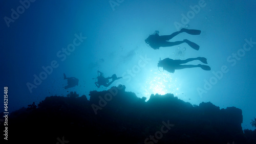 Silhouette of scuba diver in rays of sunlight. 