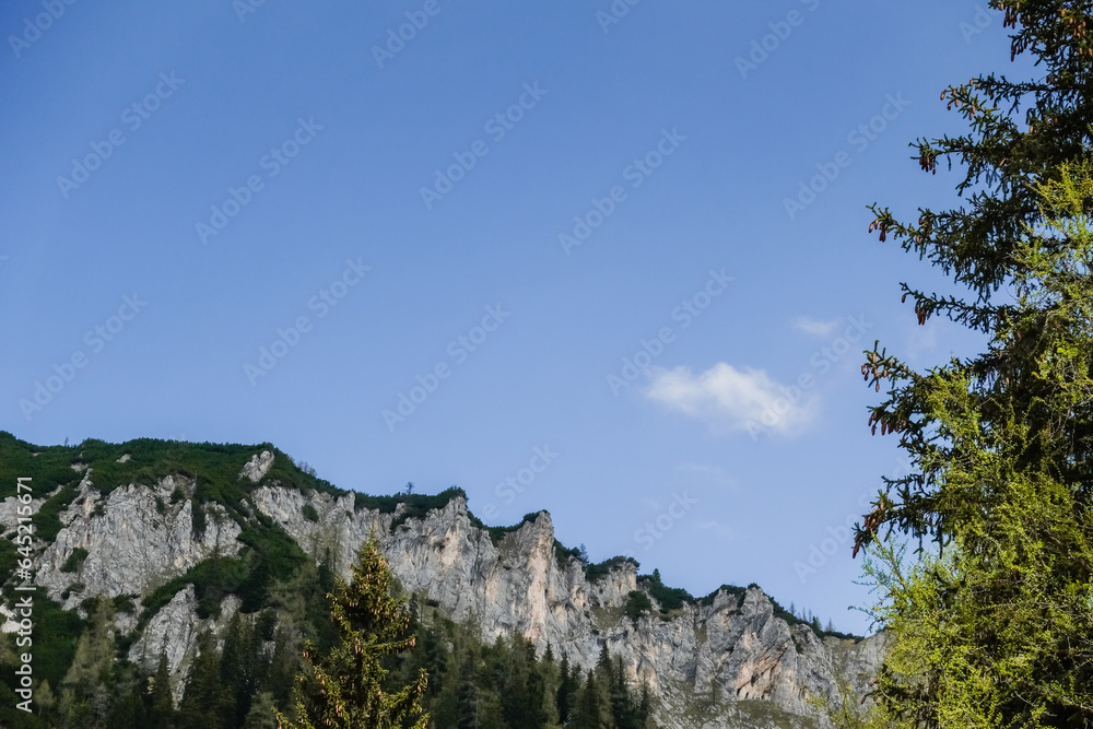 curvy rocky green mountain with deep blue sky and a pine tree