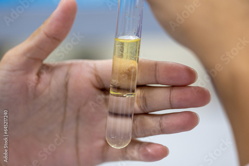 pH testing in food and Encapsulation Experiment example in the laboratory
