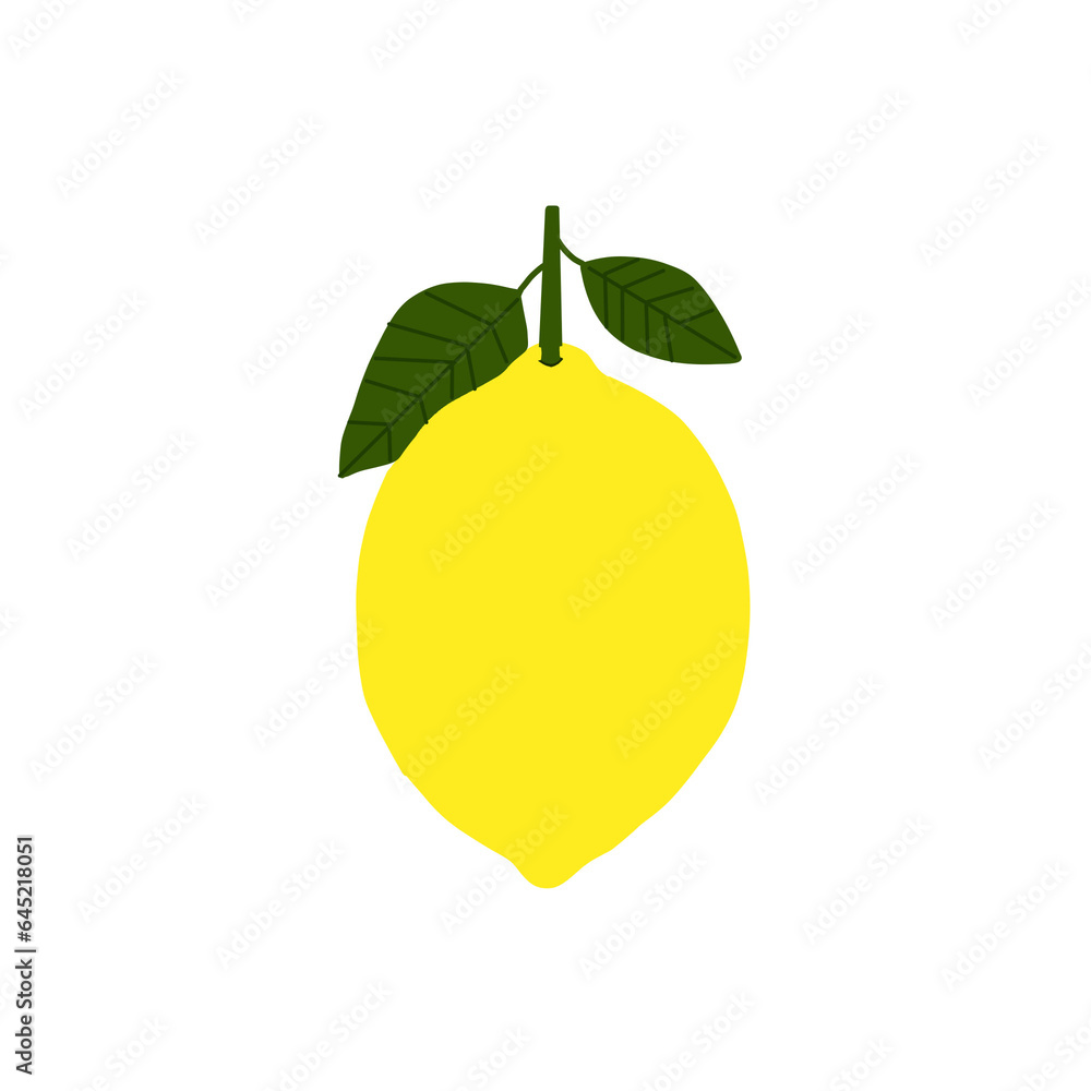 Lemon fruit illustration Lemon fruit illustration