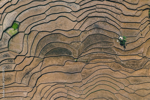 Aerial view of the surface texture of rice fields during planting time in a Bonjol village, Pasaman district photo