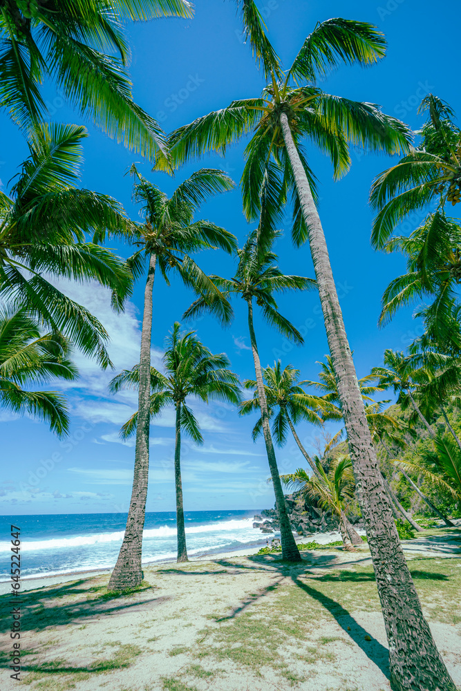 Fototapeta premium plage de grande anse ile de la Reunion