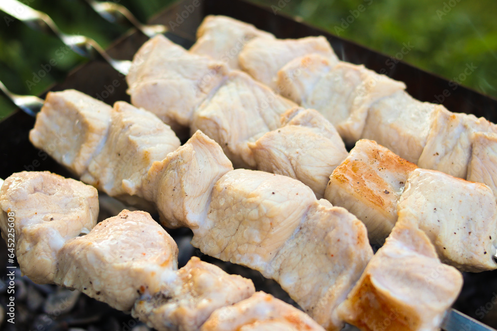 Pork skewers are fried on skewers. Appetizing smoky meat. Picnic in nature. Close-up. Selective focus. Copyspace Pork skewers are fried on skewers. Appetizing smoky meat. Picnic in nature. Close-up. Selective focus. Copyspace