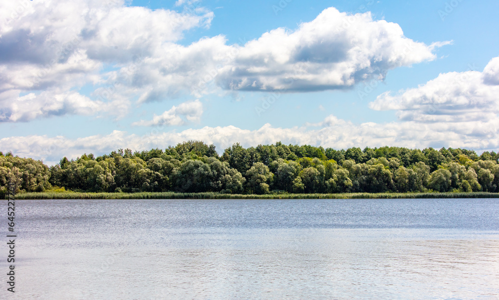 Beautiful landscape on the lake in summer