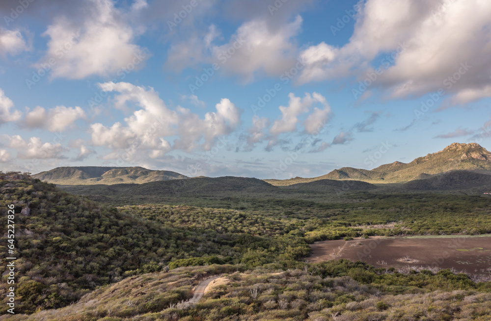 The picturesque scenery of a Caribbean island