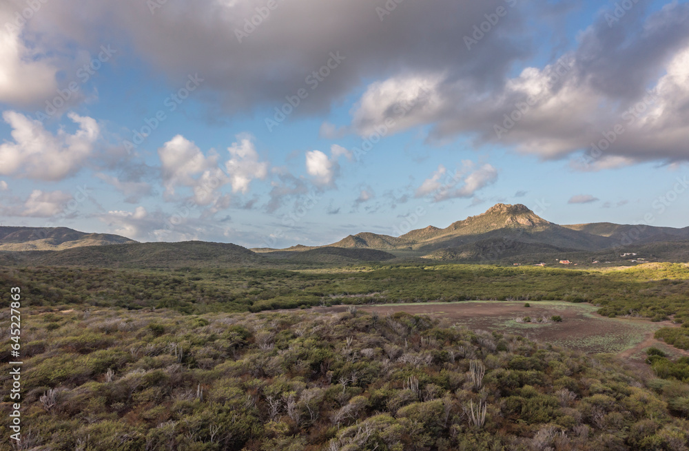 The picturesque scenery of a Caribbean island