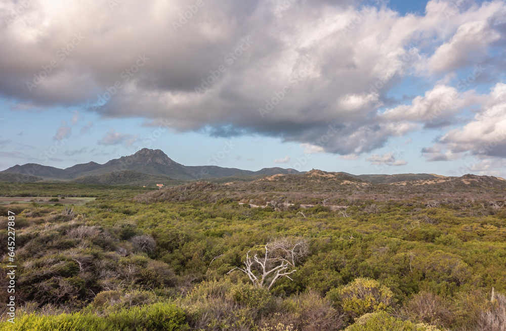 The picturesque scenery of a Caribbean island