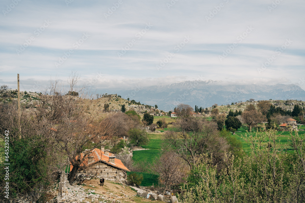 Obraz premium Scenic landscape view on old ancient vintage farm houses cabins standing in the valley and surrounded with green trees, mountains in the background under the cloudy sky